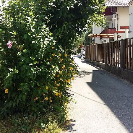 Sunflower Accommodation Λιουμπλιάνα Εξωτερικό φωτογραφία