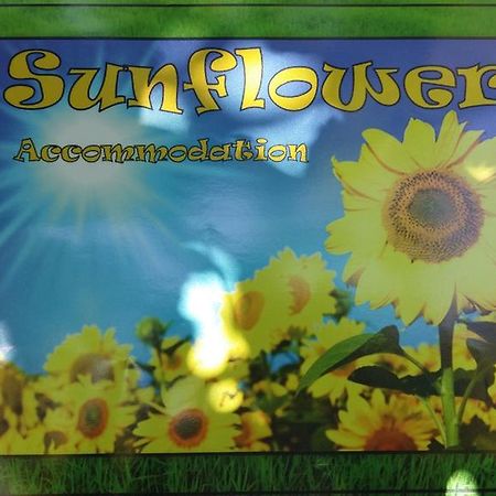 Sunflower Accommodation Λιουμπλιάνα Εξωτερικό φωτογραφία