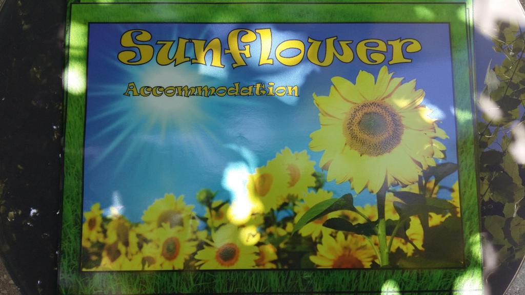 Sunflower Accommodation Λιουμπλιάνα Εξωτερικό φωτογραφία